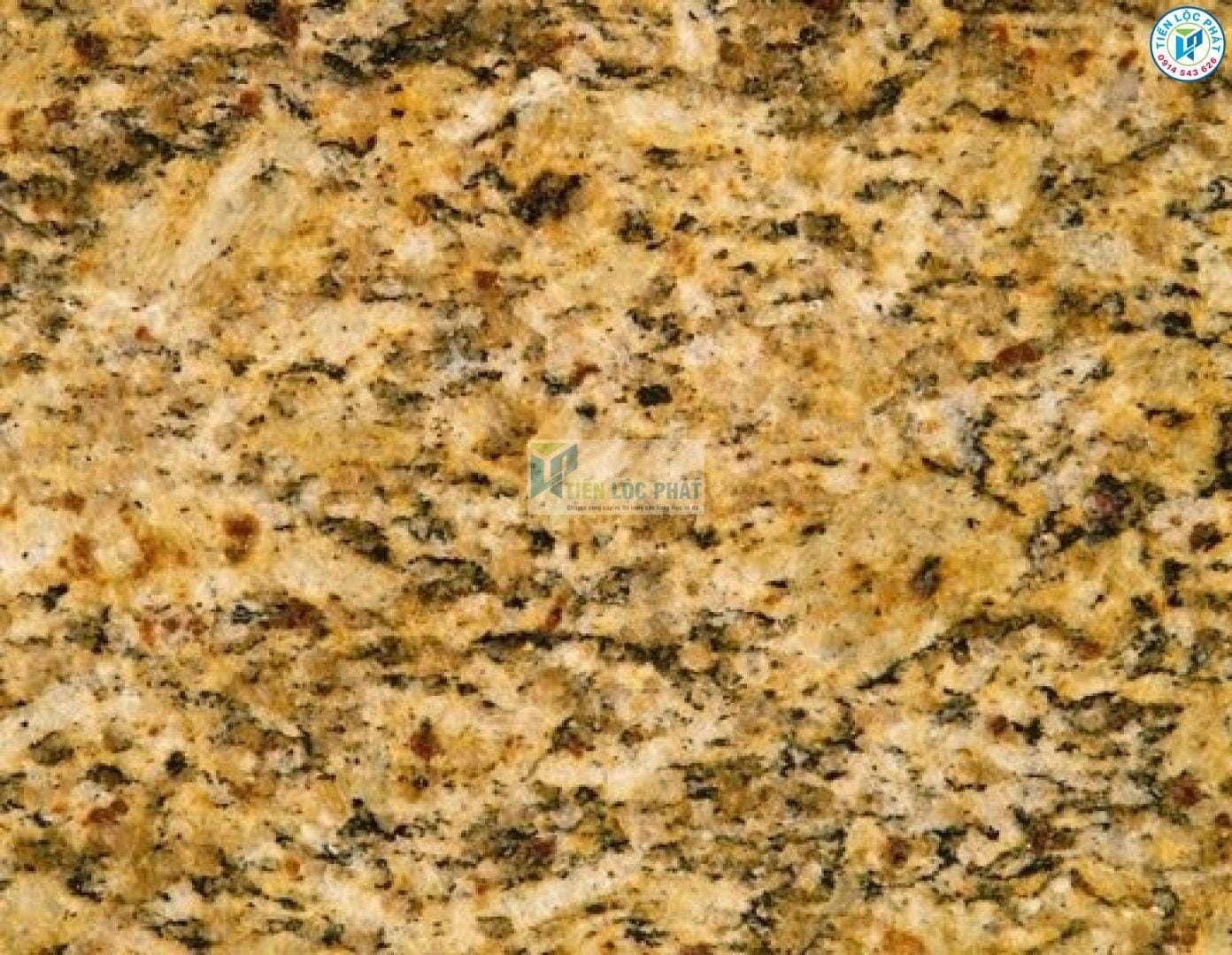 đá granite màu vàng da báo đá granite màu vàng da báo