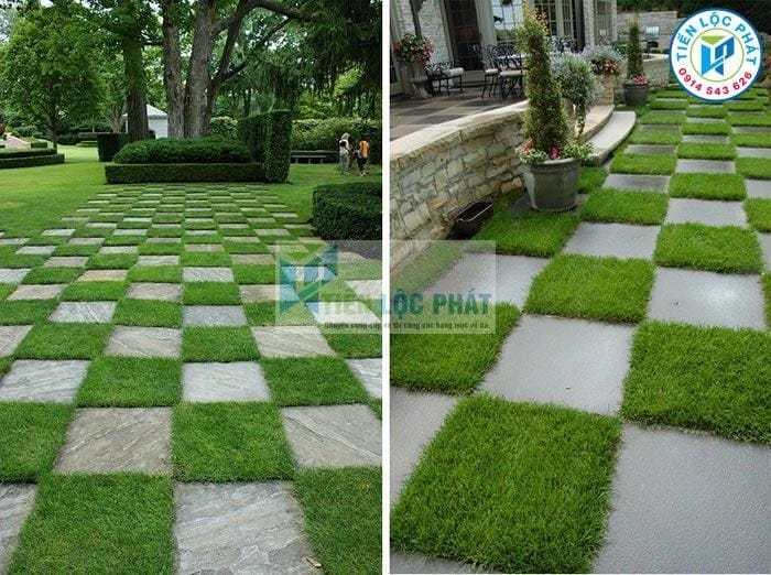 mau da lat san vuon dep