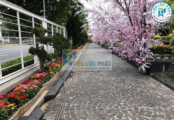 mau da lat san vuon dep