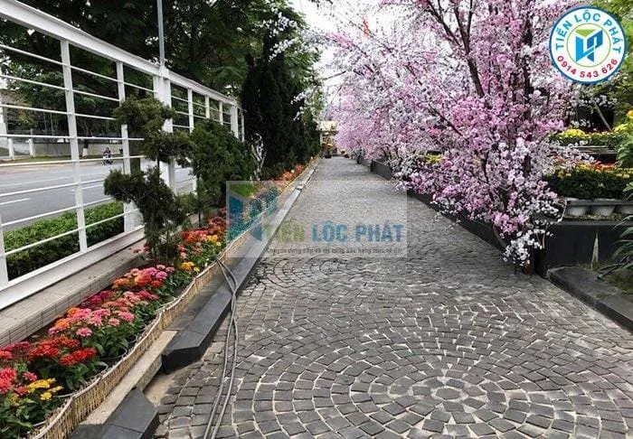 mau da lat san vuon dep