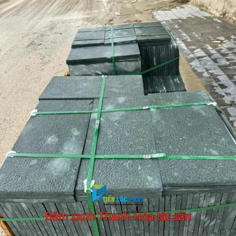 da xanh reu bam mat
