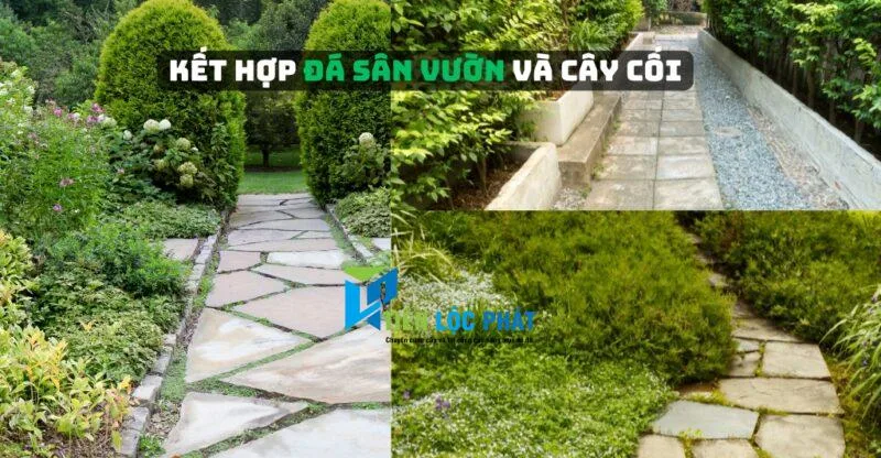 Kết hợp đá lát sân vườn và cây cối