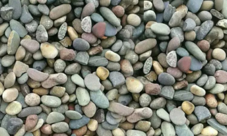 Sỏi, đá cuội