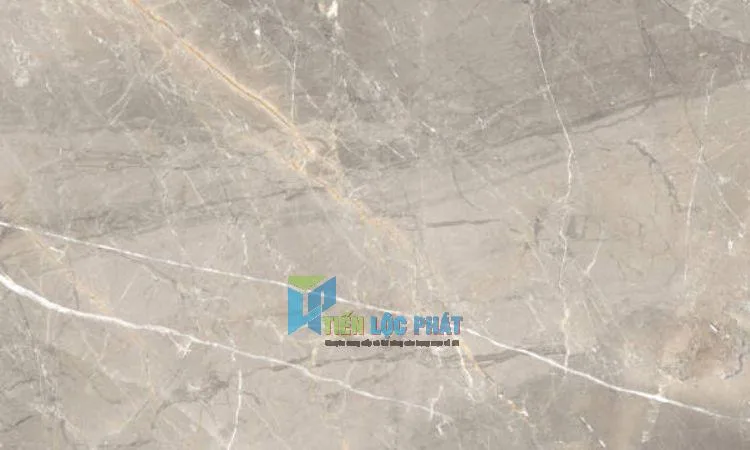 Gạch lát nền 60x60