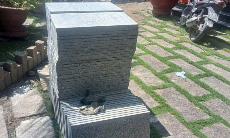 đá sân vườn tự nhiên