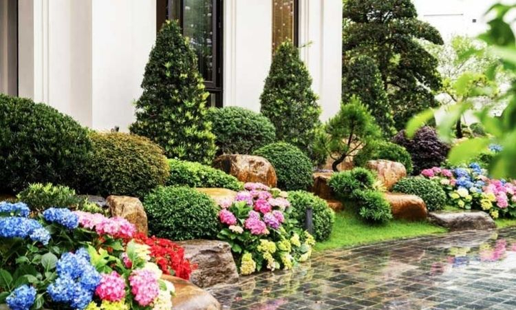 Vườn hoa rực rỡ ven lối đi