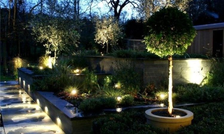 Sân vườn với ánh sáng trang trí