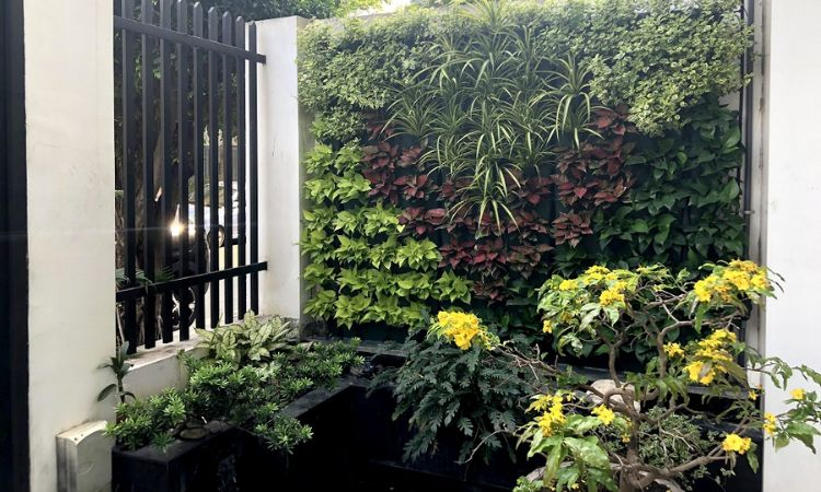 Sân vườn đứng (vườn tường)