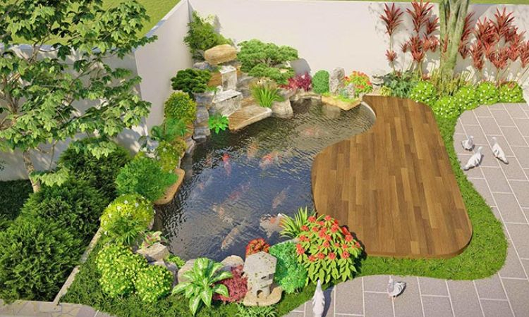 Sân vườn với hồ cá nhỏ