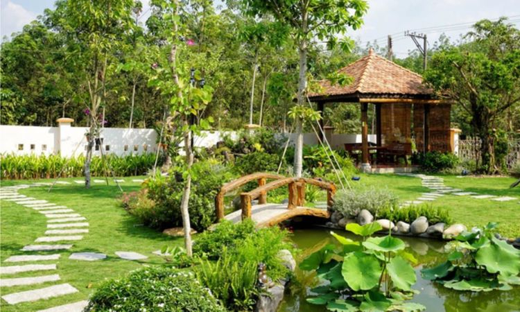 cảnh quan sân vườn