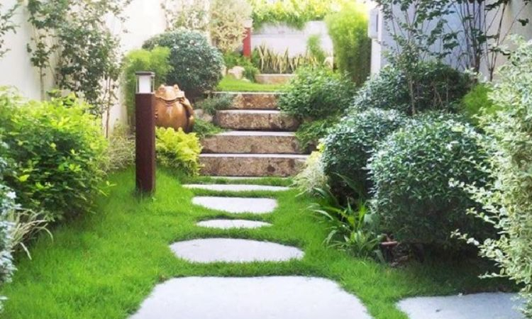 Mua cỏ trồng sân vườn ở đâu