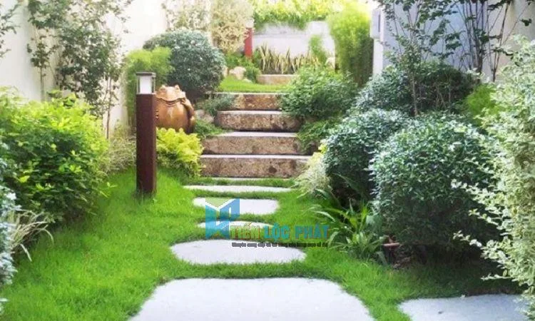 Mua cỏ trồng sân vườn ở đâu