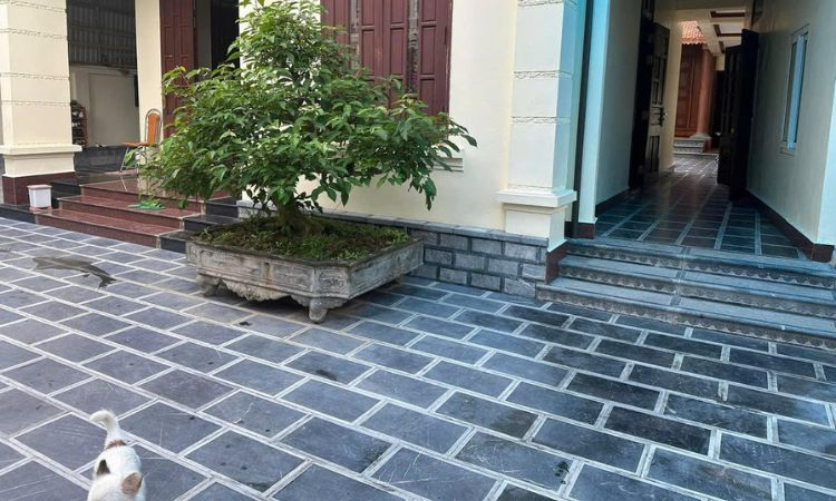 đá lát nền sân vườn