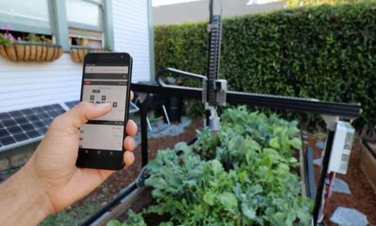 Sân vườn thông minh