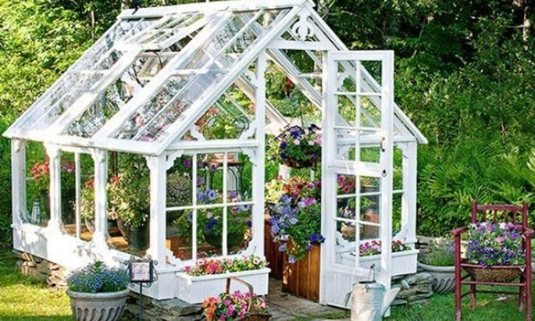 Sân vườn trong nhà kính
