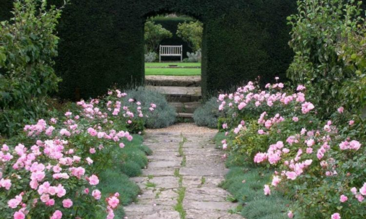 Sân vườn Pháp lãng mạn