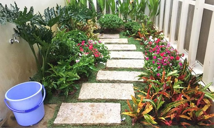 sân vườn nhỏ trước nhà cấp 4