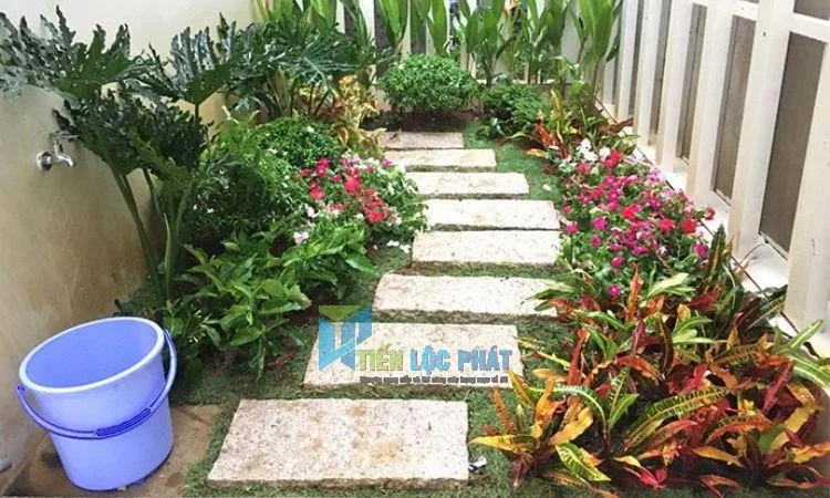 sân vườn nhỏ trước nhà cấp 4