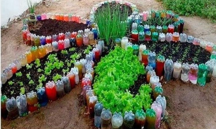 Tiểu cảnh bằng chai nhựa tái chế