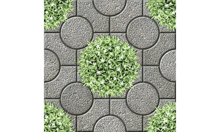 Gạch lát sân vườn cổ điển/vintage 50x50