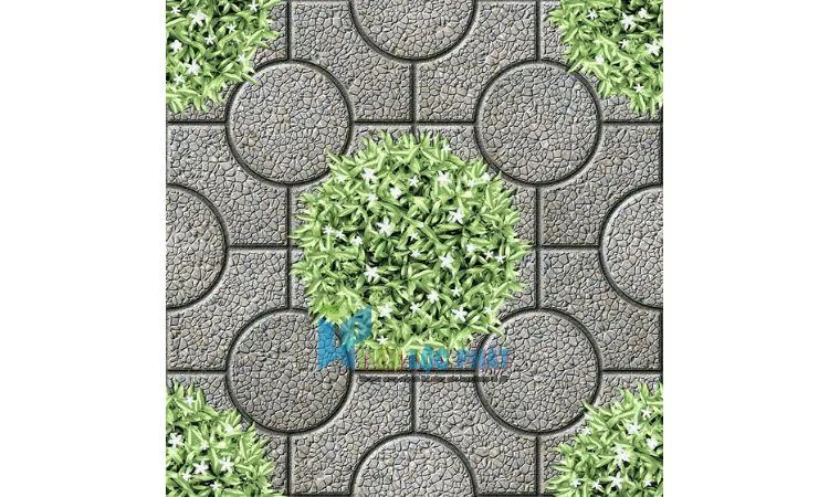Gạch lát sân vườn cổ điển/vintage 50x50