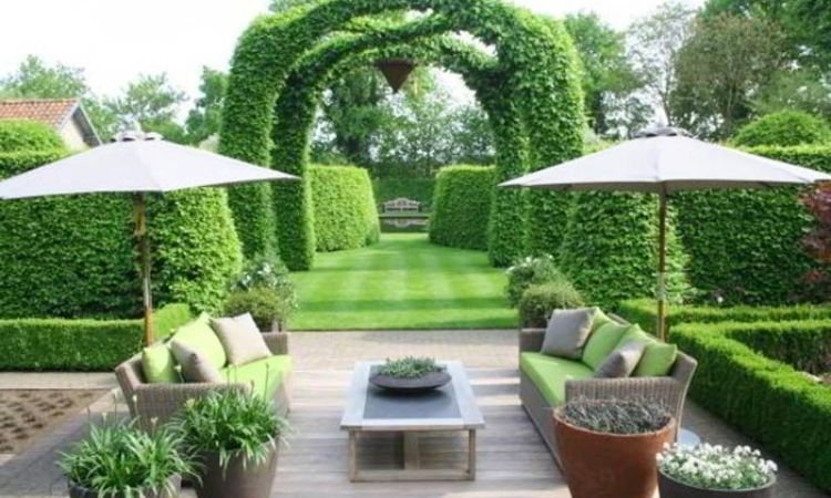 Sân vườn hiện đại Châu Âu