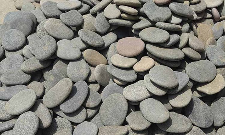 Sỏi cuội tròn và sỏi dẹt